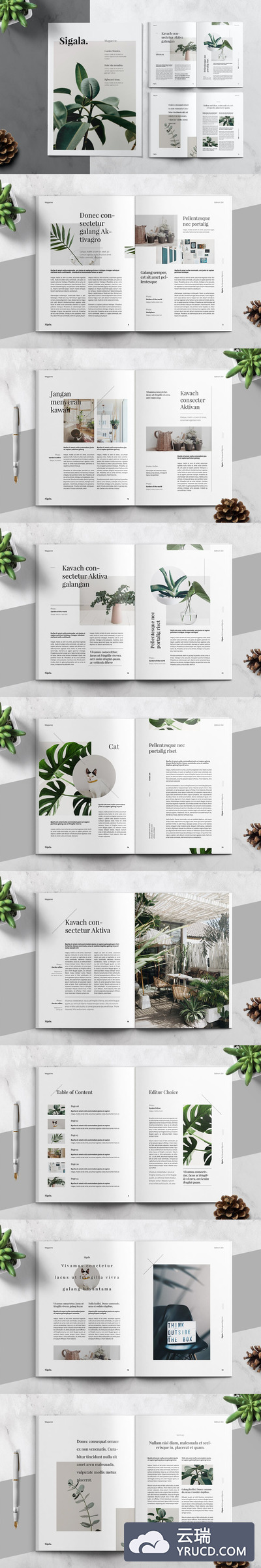 简约清新时尚多用途的杂志房地产楼书宣传册品牌手册画册设计模板