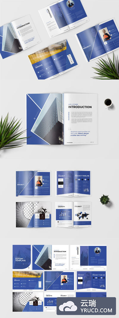 年度业务报告模板（indd）