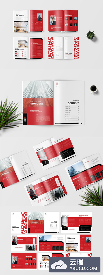 公司建议书模板（indd）