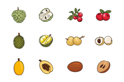 水果插画图标 V.8（AI,EPS,PNG,PSD）