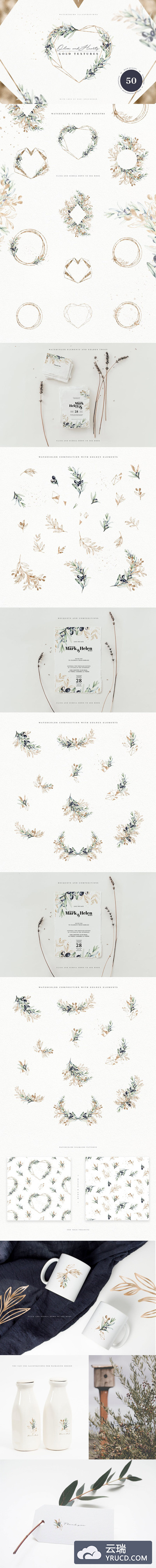 时尚高端简约清新优雅多用途金色橄榄手绘插画集合