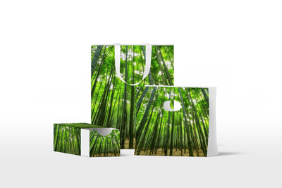 袋子和盒子包装样机