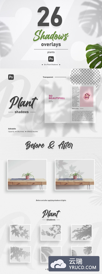 高品质的植物叠加阴影背景底纹纹理集合