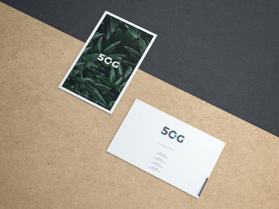 两张高端卡片名片样机