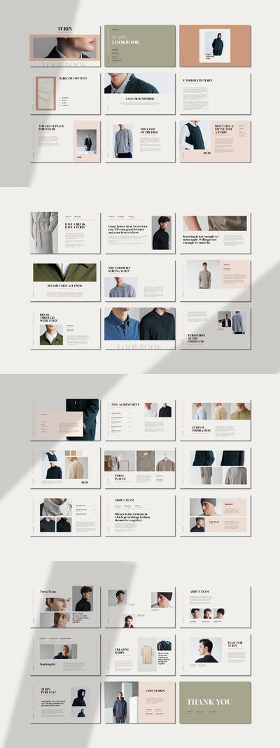 时尚的PPT设计外观(PPTX)