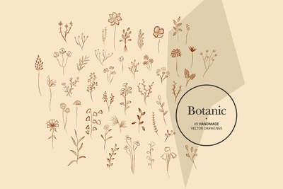 简约清新优雅手绘矢量植物插画集合-AI，EPS