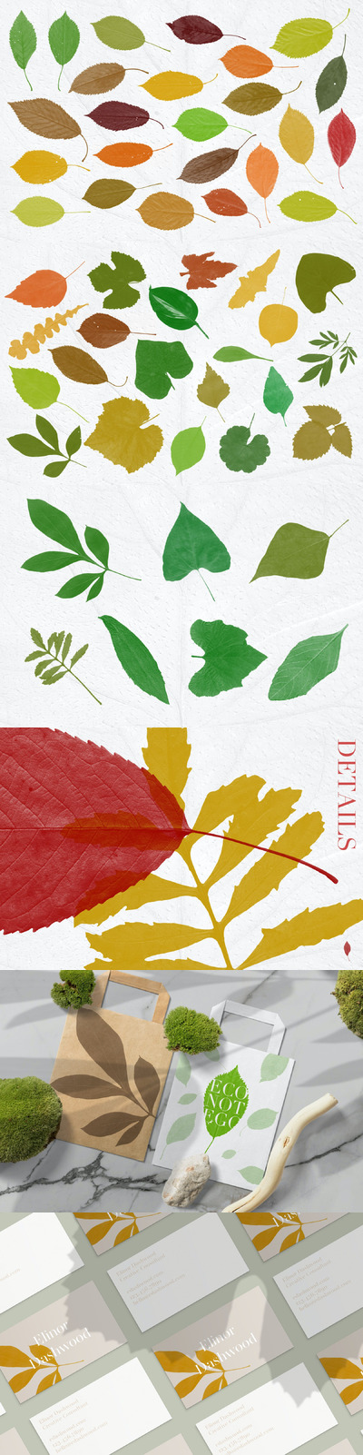 52 种叶子 PS笔刷素材（ABR）