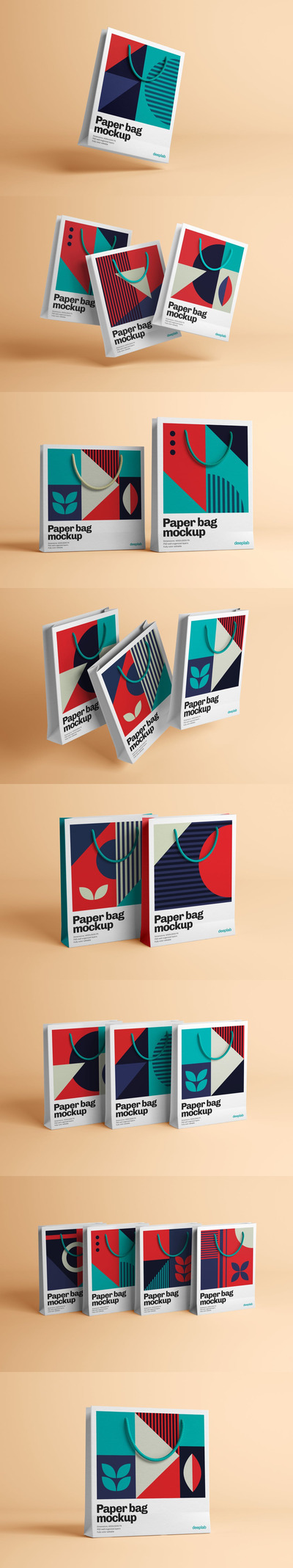 纸袋模型装置样机（PSD）