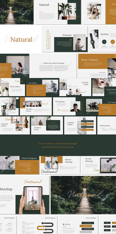 自然内容介绍的PPT模板下载（PPTX）