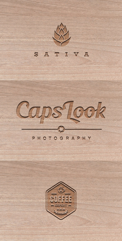 木雕风格的logo设计展示样机（PSD）