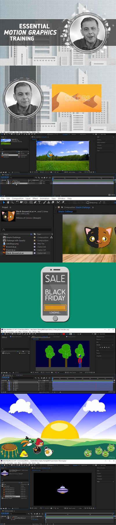 AE CC The Complete Motion Graphics Masterclass