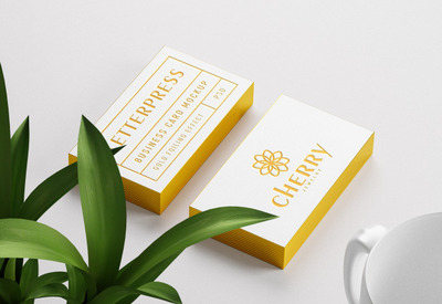 现代奢华商务名片样机[PSD]