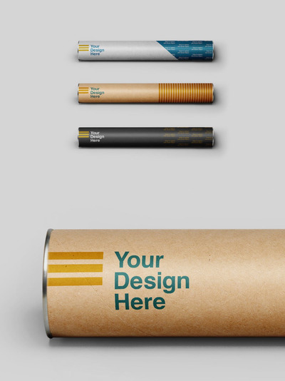 纸纸板管模型样机（PSD）