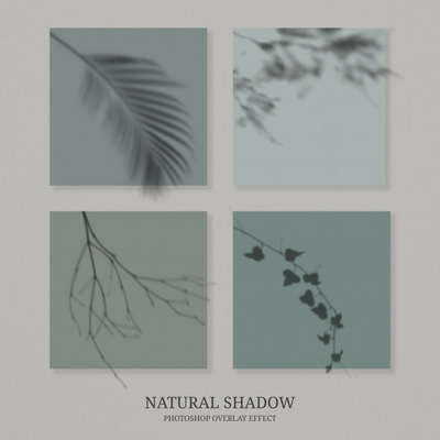 树叶透视影子样机[PSD]