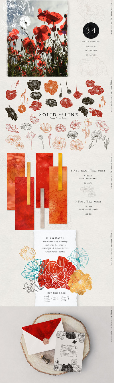 花卉矢量插图下载（PSD）