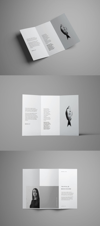 三折宣传册模型包