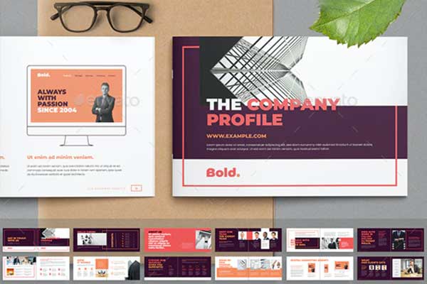 横向尺寸公司简介手册版式设计模板