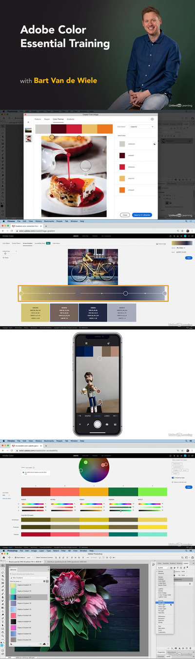 Adobe Color 基本培训教程