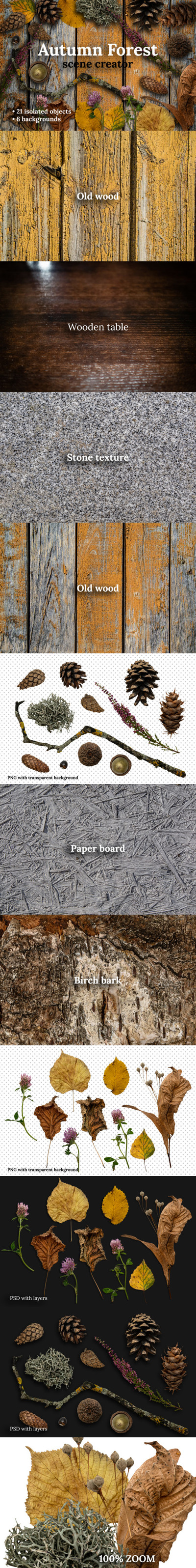 秋天的森林场景生成器