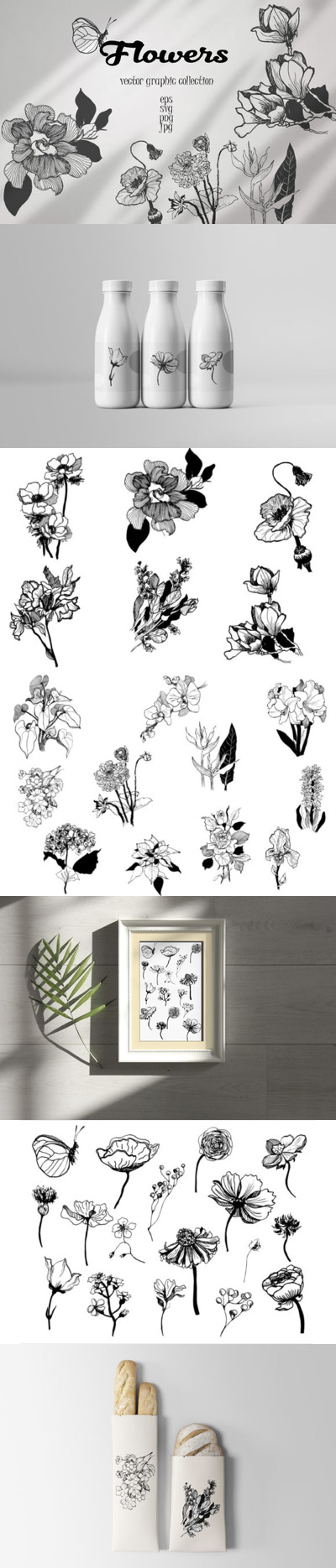 黑白手绘花卉植物矢量插画合集