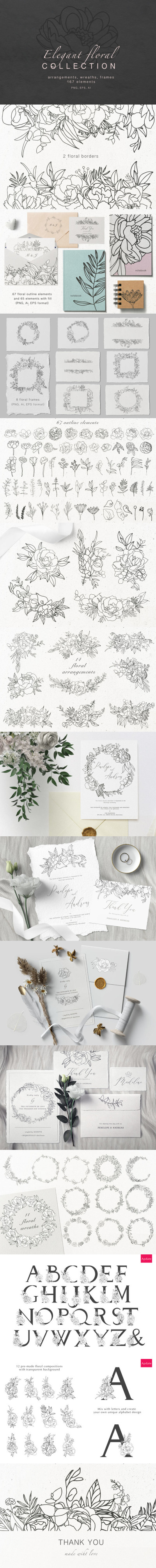 优雅精美的花卉系列插画收藏集