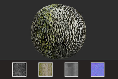 逼真的常见树皮材质贴图（JPG）