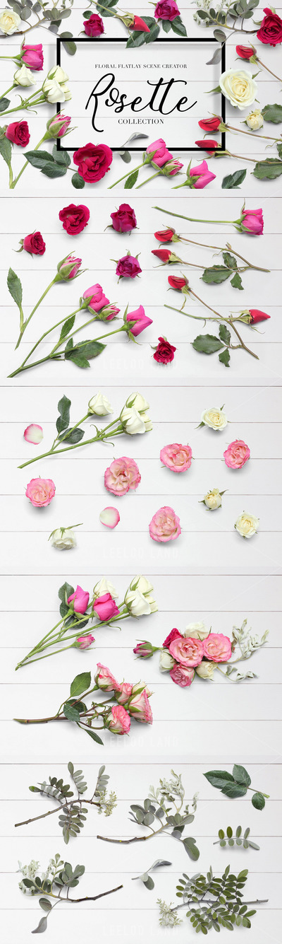 玫瑰花卉平面场景生成器样机素材