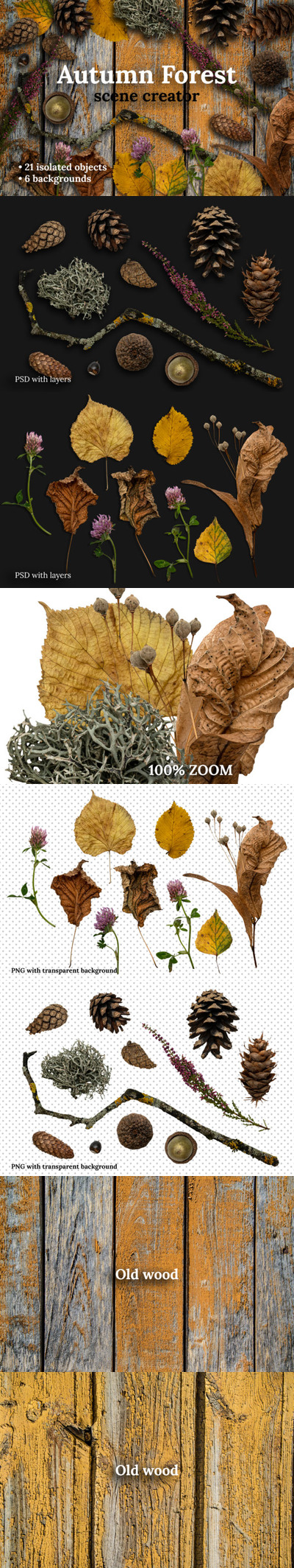 秋天森林元素场景创作者插画素材