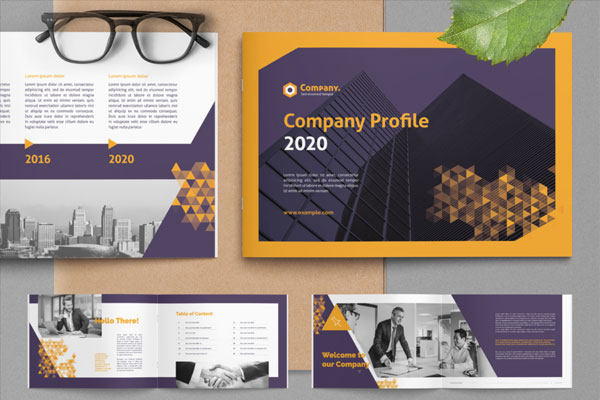 渐变三角形元素公司简介手册布局设计模板