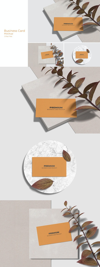 高端极简风格房地产名片设计VI样机展示模型mockups第4卷