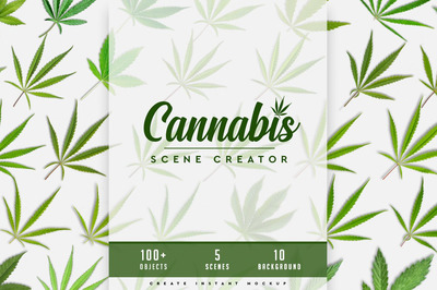 CBD医用植物场景样机生成器[1.65.GB,psd]