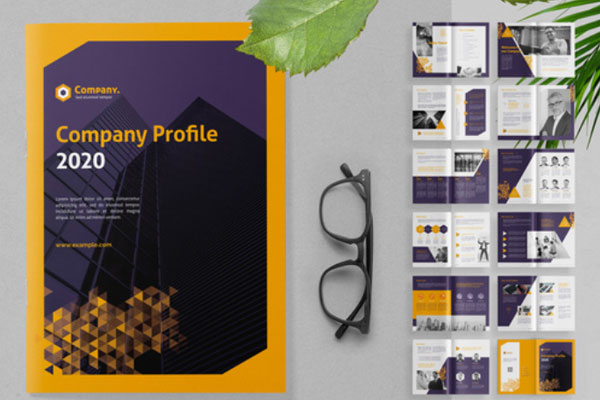 黄色渐变三角形元素公司简介手册设计模板