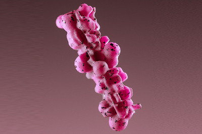 海外大神创建的流行的时尚抽象模型下载（C4D）