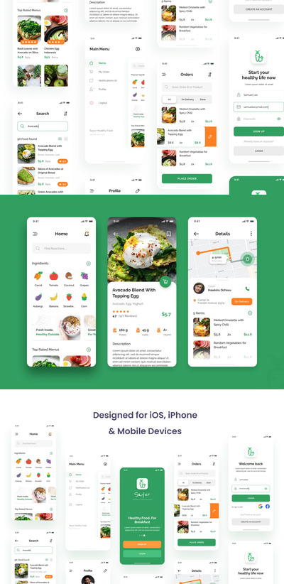 健康食品递送iOS用户界面APP Ui模板（FIG,PSD）