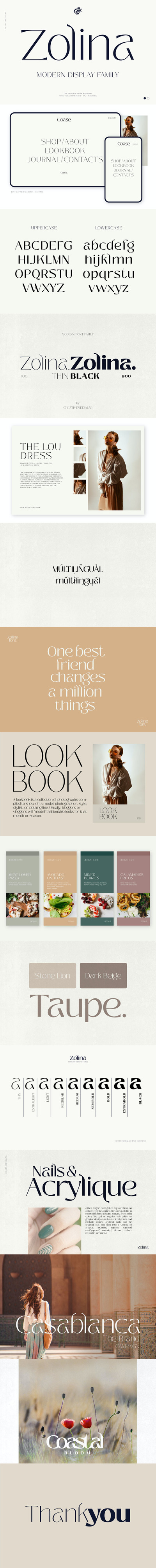 时尚高端Zolina-现代英文字体