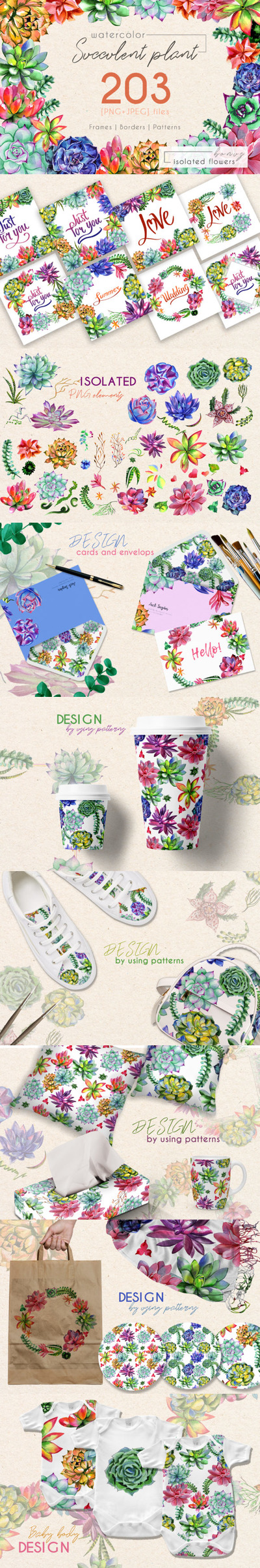 异国肉质植物水彩插画PNG集