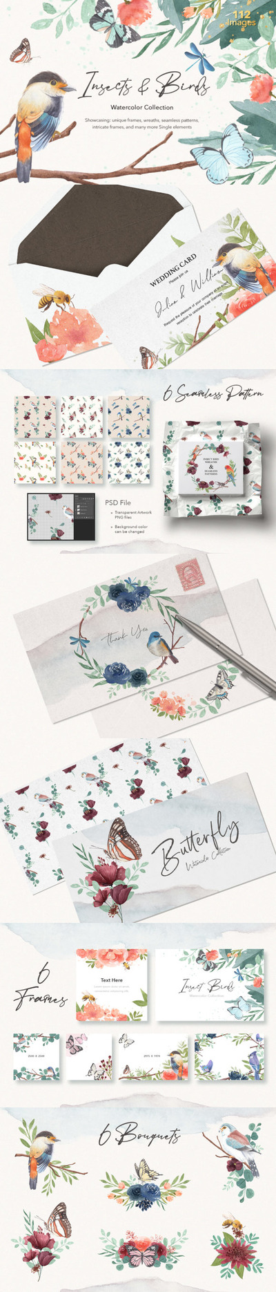 昆虫和鸟类水彩插画作品集