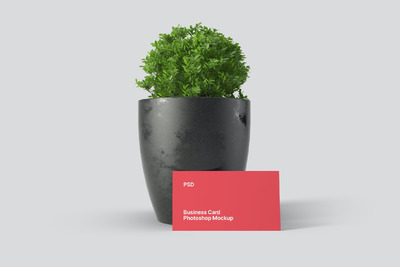 绿植名片模型样机（PSD）