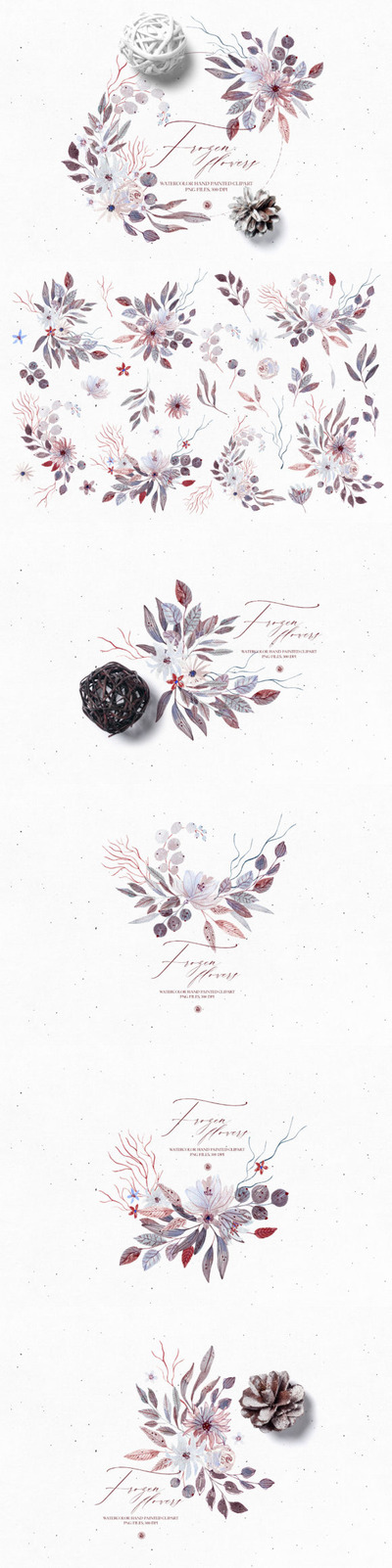 冬季冻结的水彩花卉插画素材集