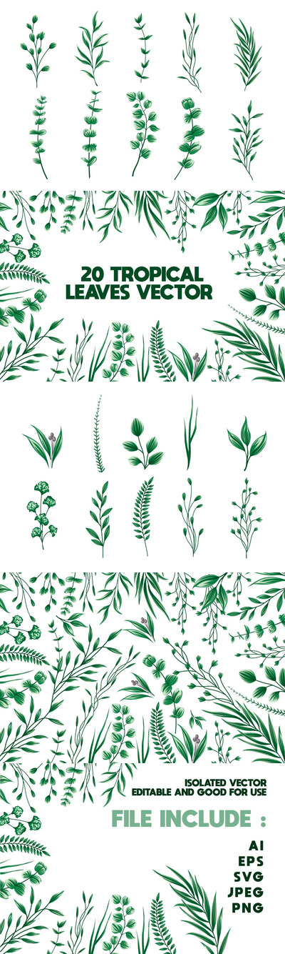 20个简约优雅植物树叶绿叶矢量插画集合-AI，EPS，JPG，PDF，PNG，PSD，SVG，AFDESIGN
