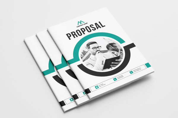 企业项目提案布局设计手册模板