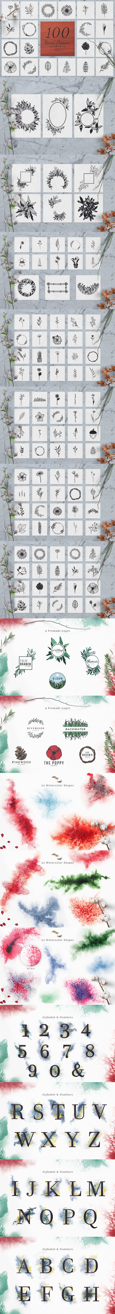 100个手绘花卉元素插画素材