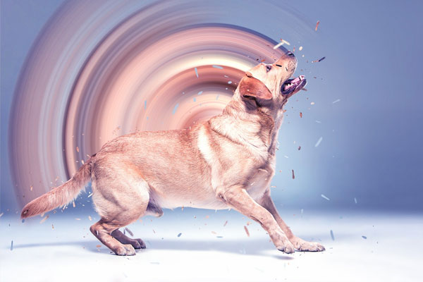 圆形像素拉伸效果ps特效动作下载