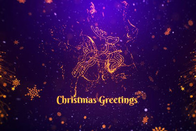 金色雪花元素圣诞节问候ae视频素材