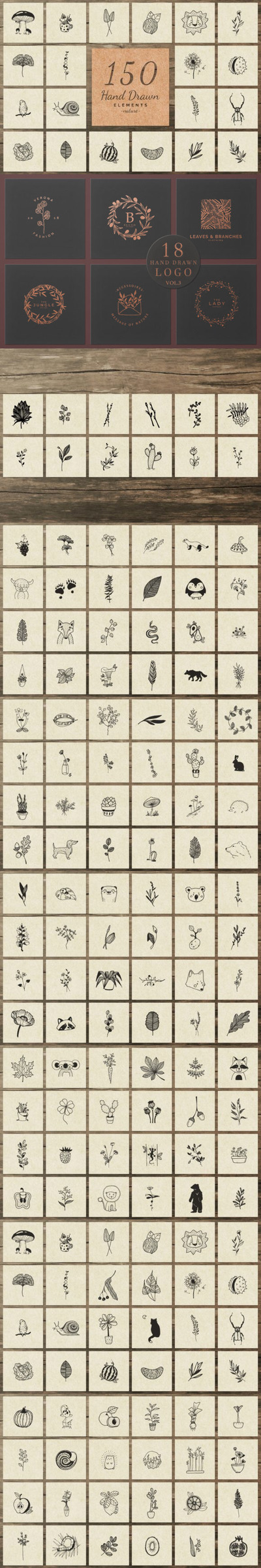 150个大自然动植物手绘元素插画素材