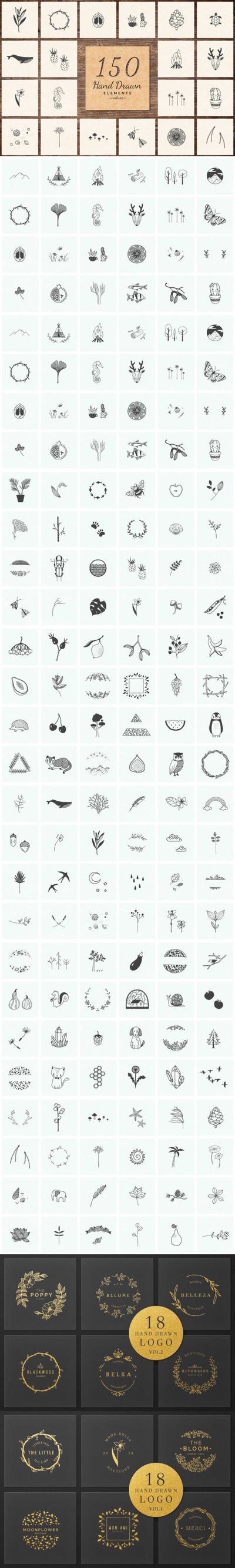 手工绘制自然元素图形素材