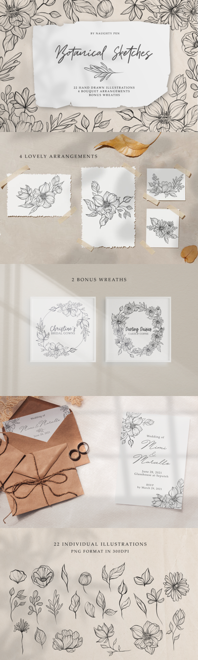 植物素描花卉线条艺术插画素材