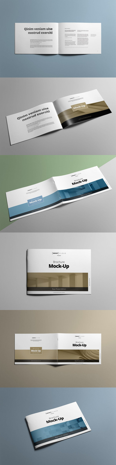 横向尺寸产品手册设计样机模板