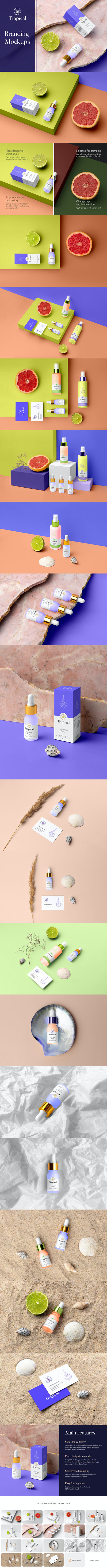 热带自然元素化妆品品牌样机套件[1.63GB,PSD]