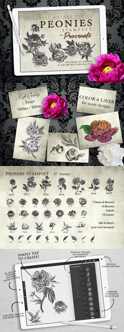 复古牡丹花卉Procreate印章笔刷套装